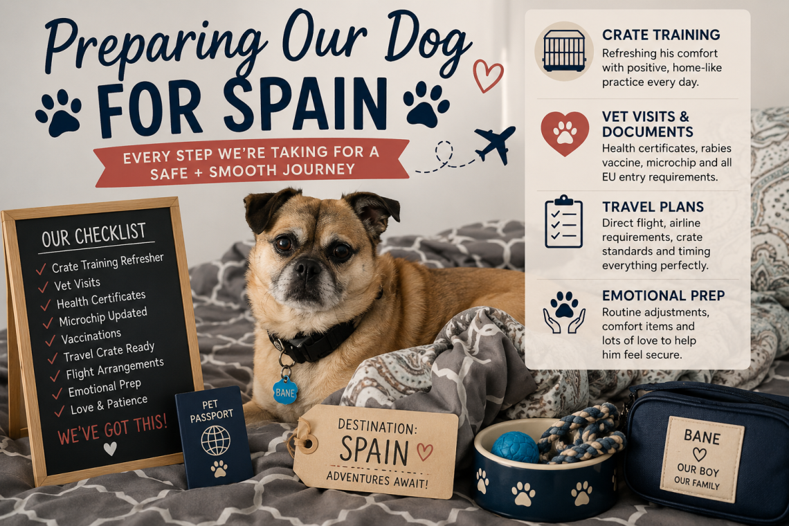 Preparing Our Dog for Spain: Steps We Are Taking