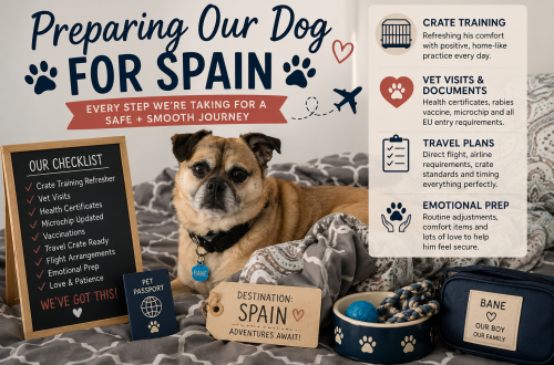 Preparing Our Dog for Spain: Steps We Are Taking