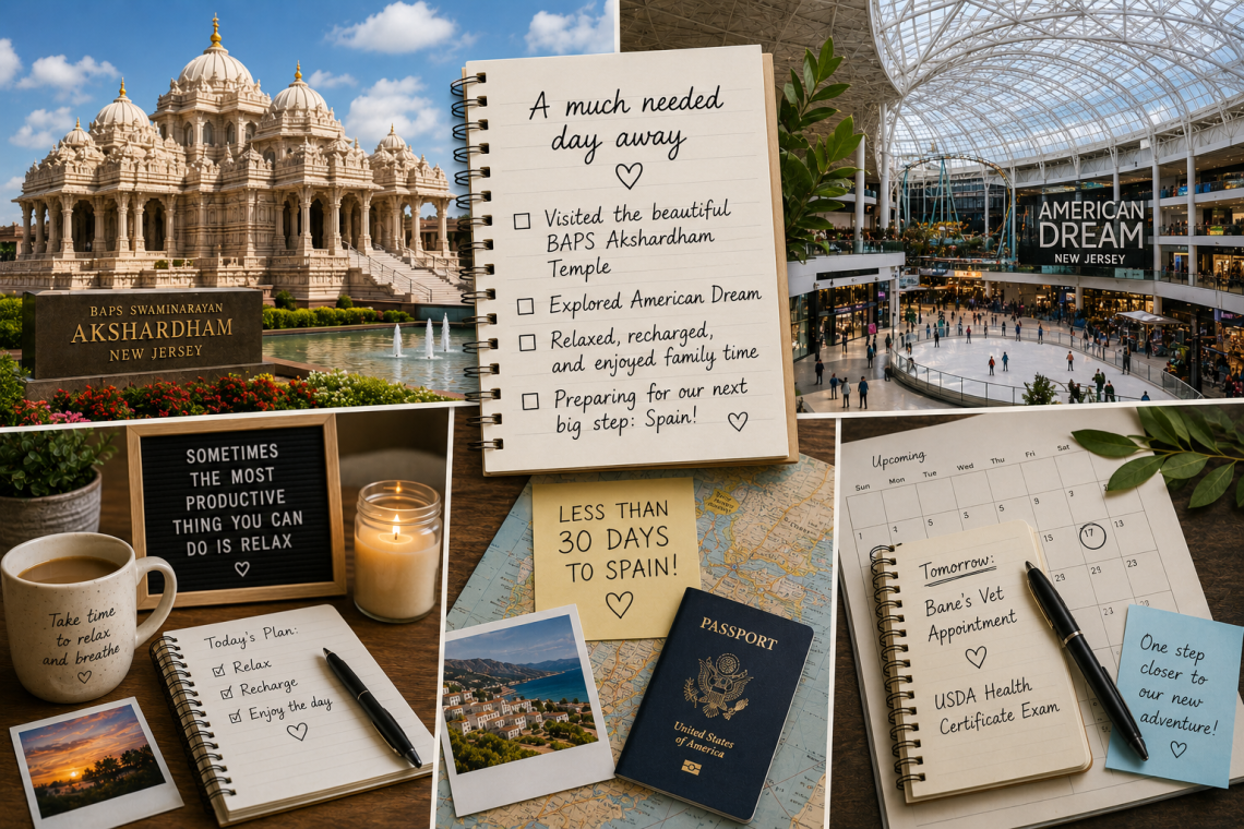 Moving to Spain | A Relaxing Day Before the Final Countdown
