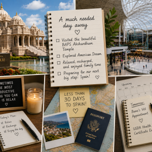 Moving to Spain | A Relaxing Day Before the Final Countdown