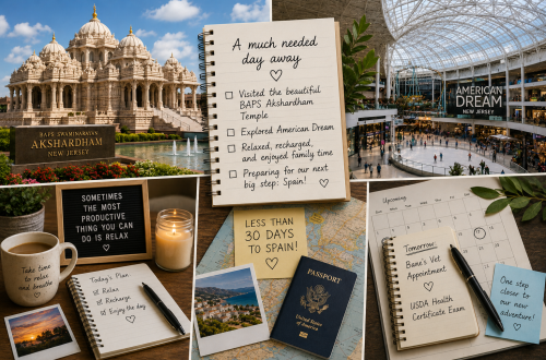 Moving to Spain | A Relaxing Day Before the Final Countdown